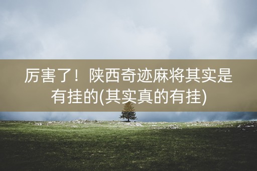 厉害了！陕西奇迹麻将其实是有挂的(其实真的有挂)