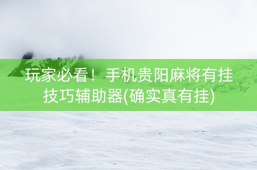 玩家必看！手机贵阳麻将有挂技巧辅助器(确实真有挂)