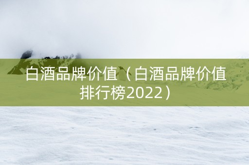 白酒品牌价值（白酒品牌价值排行榜2022）