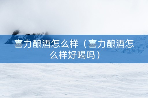 喜力酿酒怎么样（喜力酿酒怎么样好喝吗）