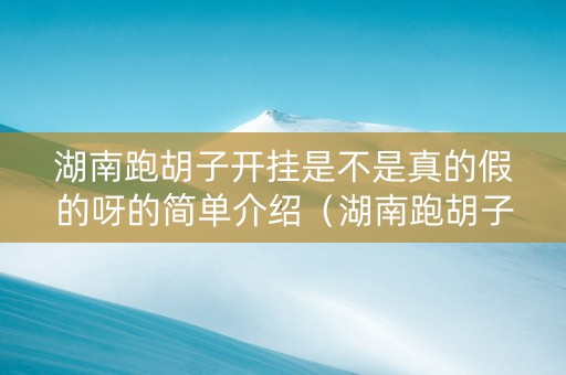 湖南跑胡子开挂是不是真的假的呀的简单介绍（湖南跑胡子游戏规则）