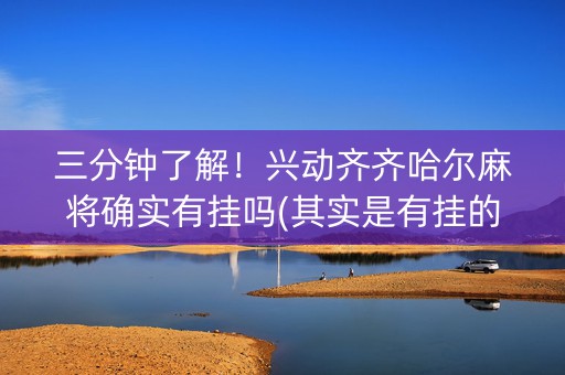 三分钟了解！兴动齐齐哈尔麻将确实有挂吗(其实是有挂的)