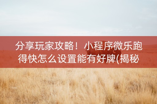 分享玩家攻略！小程序微乐跑得快怎么设置能有好牌(揭秘手机上助赢软件)