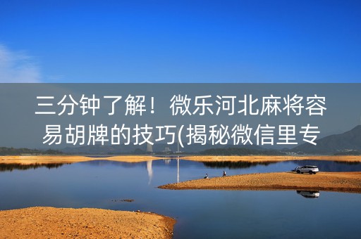 三分钟了解！微乐河北麻将容易胡牌的技巧(揭秘微信里专用神器下载)