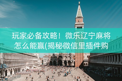 玩家必备攻略！微乐辽宁麻将怎么能赢(揭秘微信里插件购买)