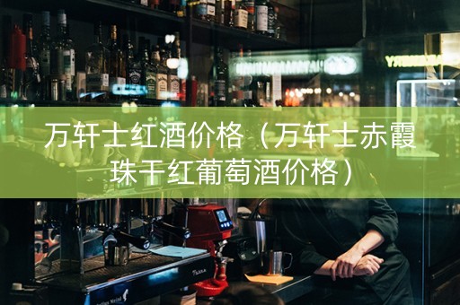 万轩士红酒价格（万轩士赤霞珠干红葡萄酒价格）