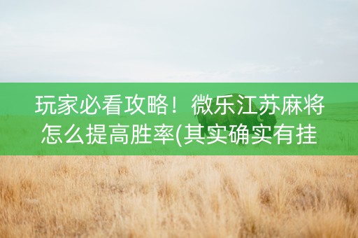 玩家必看攻略！微乐江苏麻将怎么提高胜率(其实确实有挂)