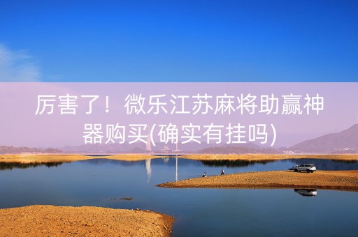 厉害了！微乐江苏麻将助赢神器购买(确实有挂吗)