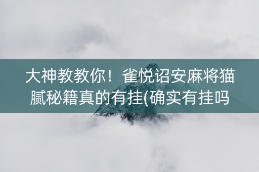 大神教教你！雀悦诏安麻将猫腻秘籍真的有挂(确实有挂吗)