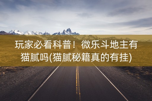 玩家必看科普！微乐斗地主有猫腻吗(猫腻秘籍真的有挂)