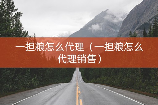一担粮怎么代理（一担粮怎么代理销售）