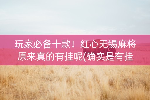 玩家必备十款！红心无锡麻将原来真的有挂呢(确实是有挂)