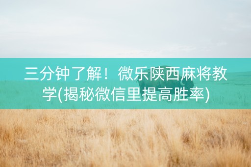 三分钟了解！微乐陕西麻将教学(揭秘微信里提高胜率)