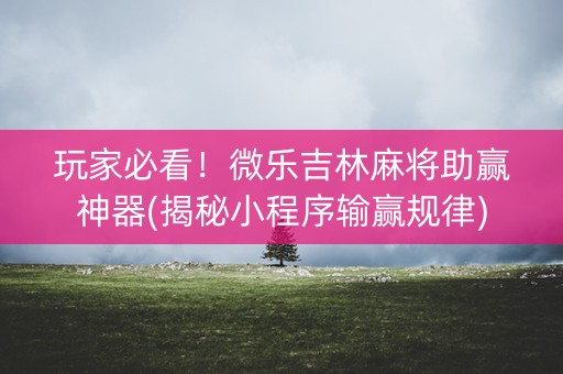 玩家必看！微乐吉林麻将助赢神器(揭秘小程序输赢规律)