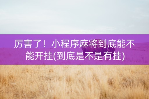 厉害了！小程序麻将到底能不能开挂(到底是不是有挂)