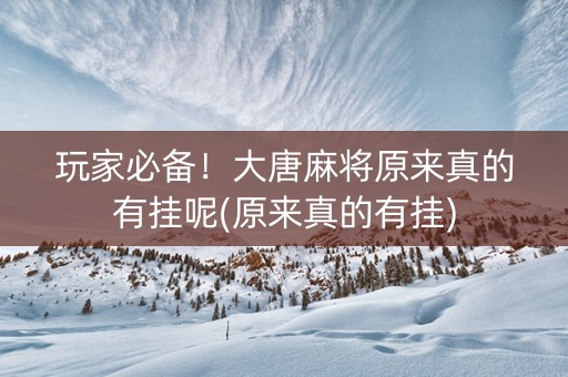 玩家必备！大唐麻将原来真的有挂呢(原来真的有挂)