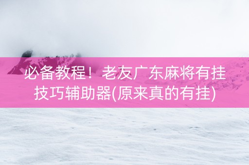 必备教程！老友广东麻将有挂技巧辅助器(原来真的有挂)