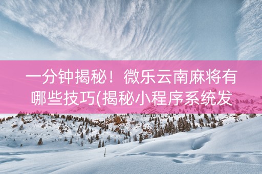 一分钟揭秘！微乐云南麻将有哪些技巧(揭秘小程序系统发好牌)