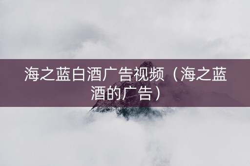 海之蓝白酒广告视频（海之蓝酒的广告）