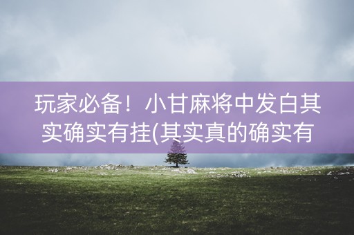 玩家必备！小甘麻将中发白其实确实有挂(其实真的确实有挂)