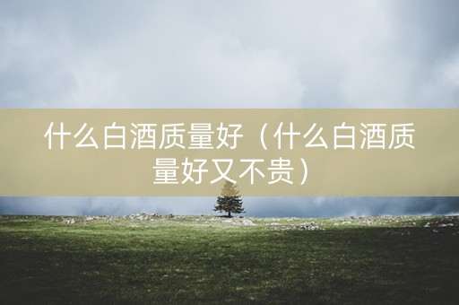 什么白酒质量好（什么白酒质量好又不贵）