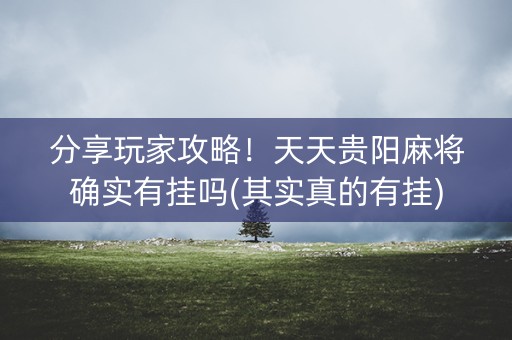 分享玩家攻略！天天贵阳麻将确实有挂吗(其实真的有挂)