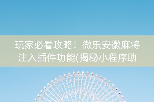 玩家必看攻略！微乐安徽麻将注入插件功能(揭秘小程序助攻神器)