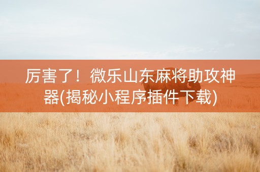 厉害了！微乐山东麻将助攻神器(揭秘小程序插件下载)
