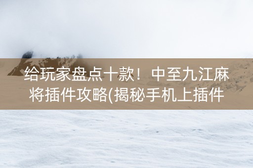 给玩家盘点十款！中至九江麻将插件攻略(揭秘手机上插件购买)