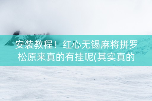 安装教程！红心无锡麻将拼罗松原来真的有挂呢(其实真的确实有挂)