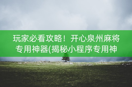 玩家必看攻略！开心泉州麻将专用神器(揭秘小程序专用神器下载)