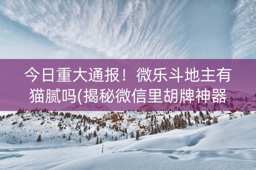今日重大通报！微乐斗地主有猫腻吗(揭秘微信里胡牌神器)