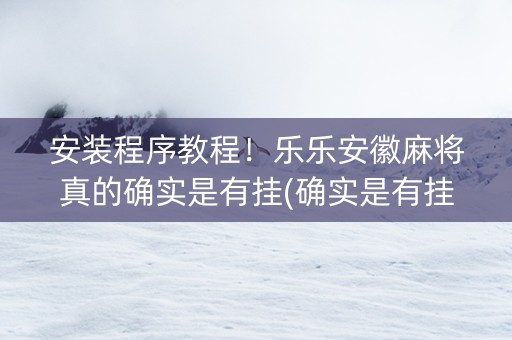 安装程序教程！乐乐安徽麻将真的确实是有挂(确实是有挂)