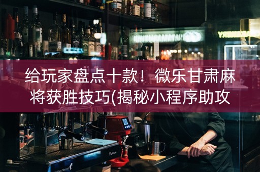 给玩家盘点十款！微乐甘肃麻将获胜技巧(揭秘小程序助攻神器)