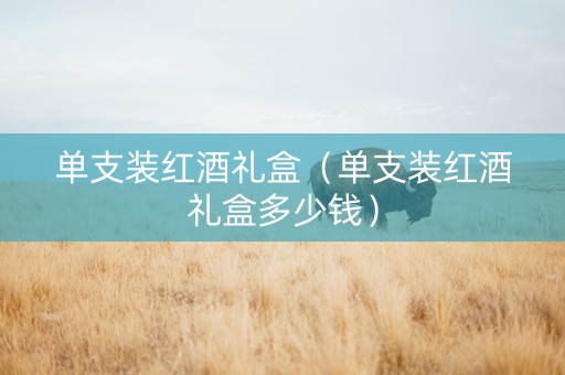 单支装红酒礼盒（单支装红酒礼盒多少钱）