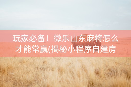 玩家必备！微乐山东麻将怎么才能常赢(揭秘小程序自建房怎么赢)