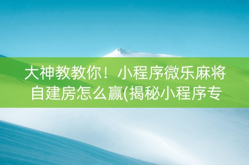 大神教教你！小程序微乐麻将自建房怎么赢(揭秘小程序专用神器下载)
