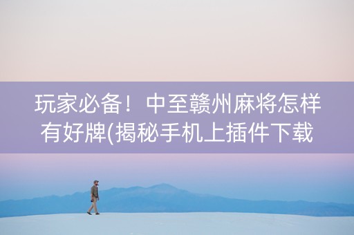 玩家必备！中至赣州麻将怎样有好牌(揭秘手机上插件下载)