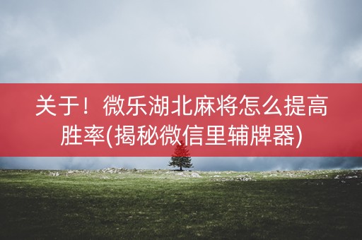 关于！微乐湖北麻将怎么提高胜率(揭秘微信里辅牌器)