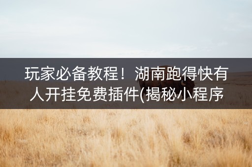 玩家必备教程！湖南跑得快有人开挂免费插件(揭秘小程序助攻神器)
