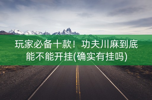 玩家必备十款！功夫川麻到底能不能开挂(确实有挂吗)