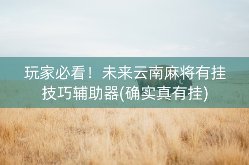 玩家必看！未来云南麻将有挂技巧辅助器(确实真有挂)