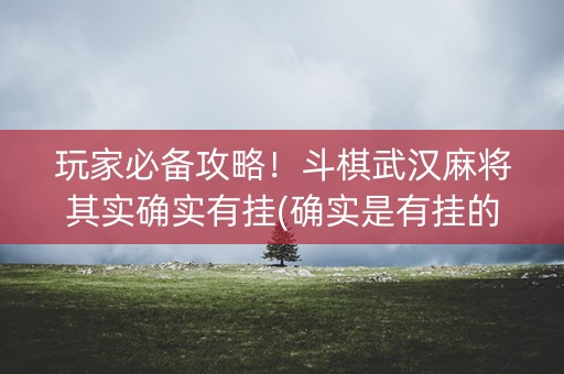 玩家必备攻略！斗棋武汉麻将其实确实有挂(确实是有挂的)