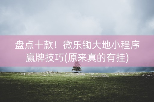 盘点十款！微乐锄大地小程序赢牌技巧(原来真的有挂)