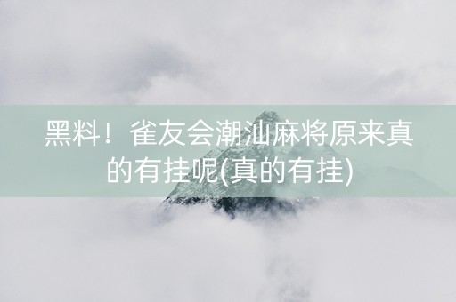 黑料！雀友会潮汕麻将原来真的有挂呢(真的有挂)