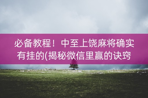 必备教程！中至上饶麻将确实有挂的(揭秘微信里赢的诀窍)