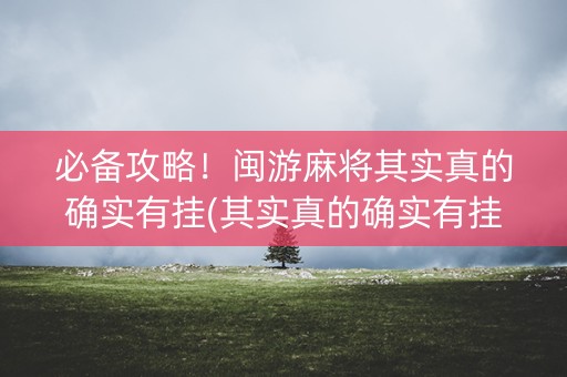 必备攻略！闽游麻将其实真的确实有挂(其实真的确实有挂)