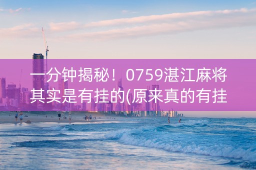 一分钟揭秘！0759湛江麻将其实是有挂的(原来真的有挂)