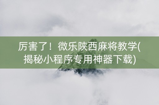 厉害了！微乐陕西麻将教学(揭秘小程序专用神器下载)