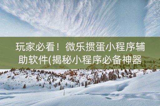 玩家必看！微乐掼蛋小程序辅助软件(揭秘小程序必备神器)